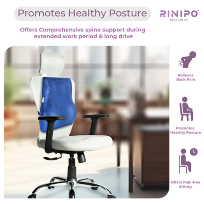 Back Support for Office Chair